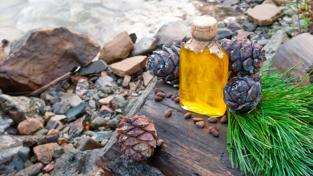 Масло кедрового ореха Масло кедрового ореха