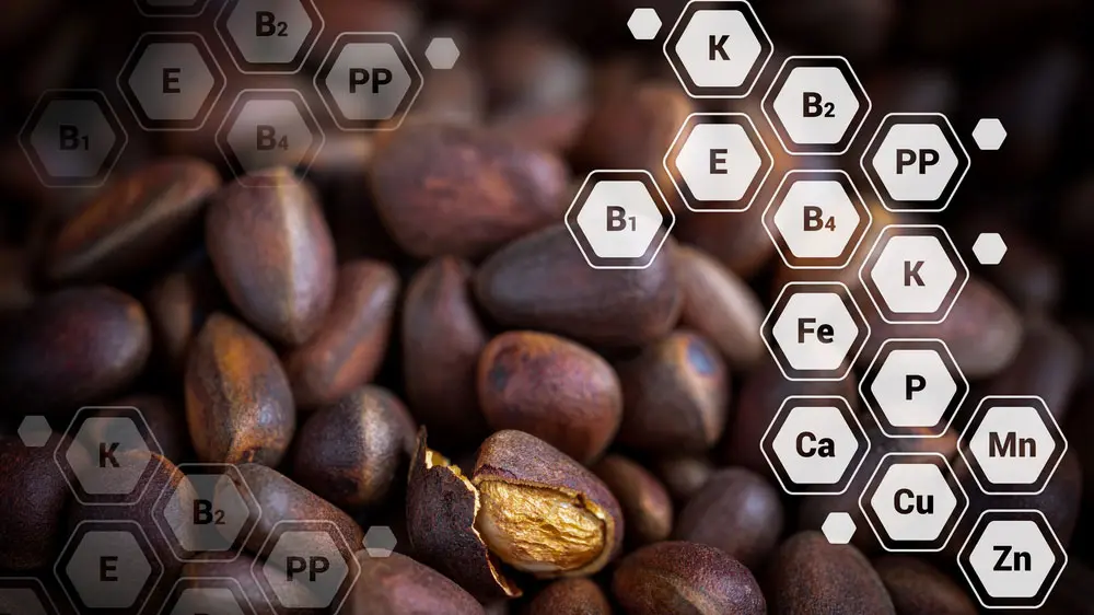 Витамины, которые содержатся в орехах Витамины, которые содержатся в орехах