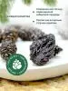 Цукаты из сосновых шишек 1 кг Цукаты из сосновых шишек 1 кг