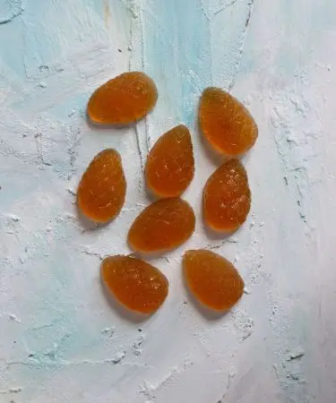 Мармелад ягодный Облепиховый, 110 гр (дисплей)