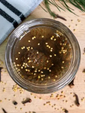 Каперсы из сосновых шишек маринованные с пряностями, 200 мл